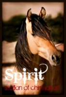 Spirit