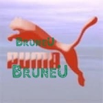 Bruneu