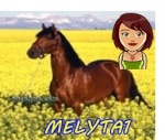 melyta1