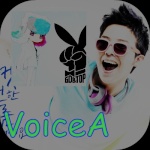 voiceA