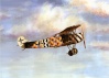 fokker dvii