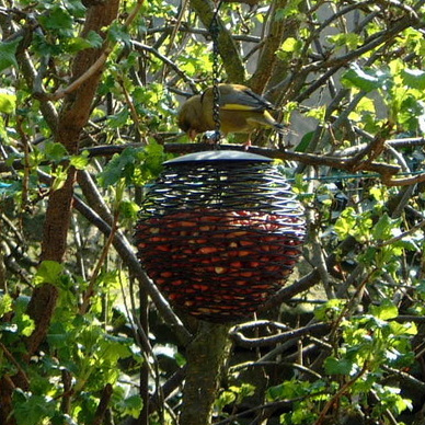 round feeder