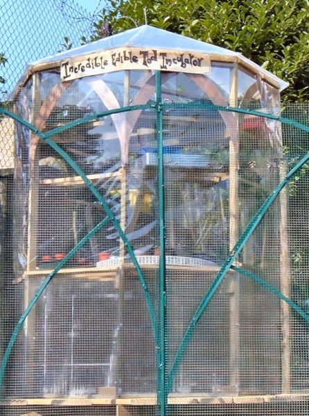 The Incredible Edible Incubator