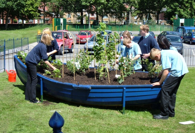 Many hands  join in the planting