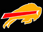 besanconbisons