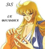 StS LE BOUDDHA