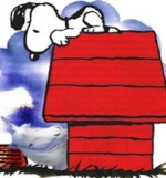 Snoopy257