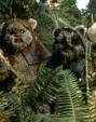 ewoks