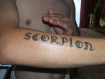 scorpion