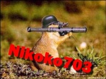 Nikoko703