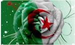 زهــرة الجــزائر