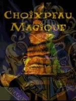 Choixpeau Magique