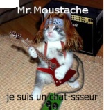 MrMoustache
