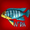 afra