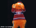 VP*Habs*