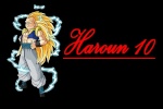 haroun10