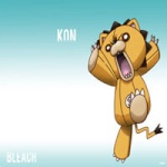 Kon le nounours