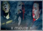 x-miouze-x