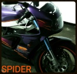 Spider