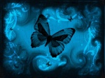 Butterfly_.-*