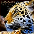 blanche555