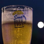 SonaBeerFest