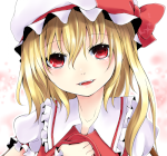 Flandre Scarlet