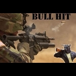 bull-hit