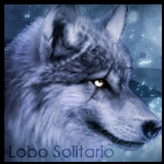 Lobo Solitario