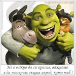 shrek6721