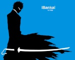 bleach bankai