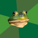 BachelorFrog