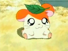 hamtaro