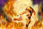 Arcanine13