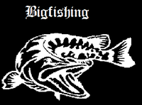 Bigfishing