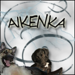 Aikenka