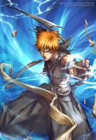 kurosaki ichigo San