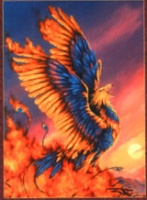 Phoenix