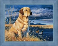 Labrador