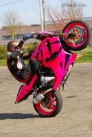 dav stunt