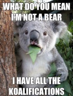 koalabeer