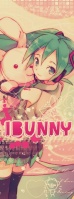 IBUNNY