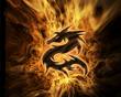 Fire_DRAGON