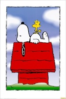 .snoopy.K7.