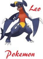 leopokemon