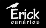 ERICK CANÁRIOS