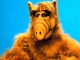 alf