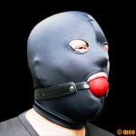 The Gimp