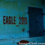 EAGLE_2010