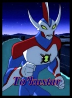 To'kustar